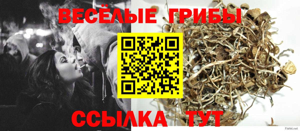 Кострома  Псилоцибиновые грибы MAGIC MUSHROOMS  Вход с VPN 