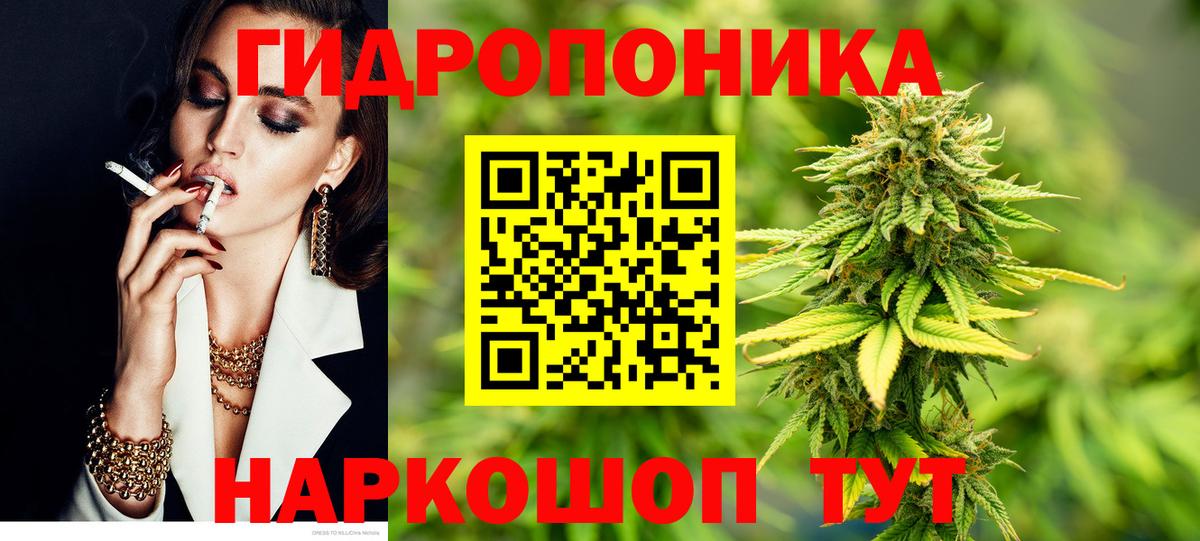Канабис план Кострома